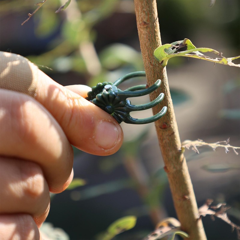 Großhandel Mini-Pflanzenstützc – Gardening Tools Store Bewertung und Preis