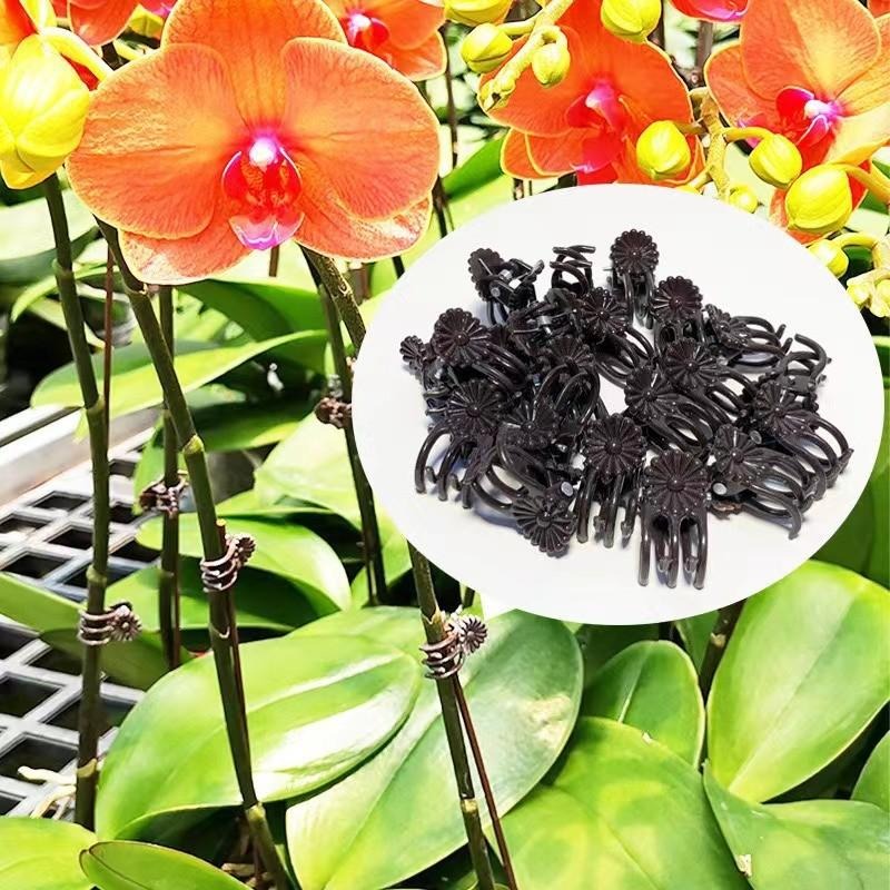 Großhandel Mini-Pflanzenstützc – Gardening Tools Store Bewertung und Preis