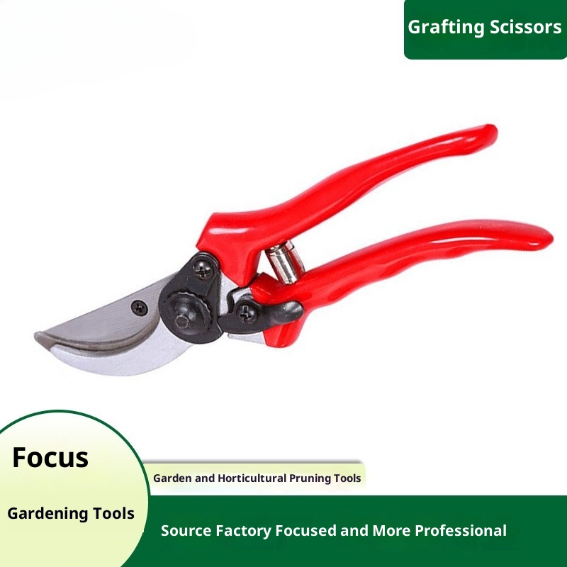 Premium Veredelungs- und Garte – Gardening Tools Quality Bewertung und Preis