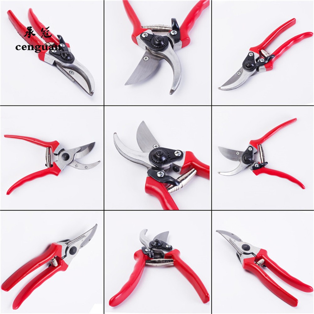 Premium Veredelungs- und Garte – Gardening Tools Quality Bewertung und Preis