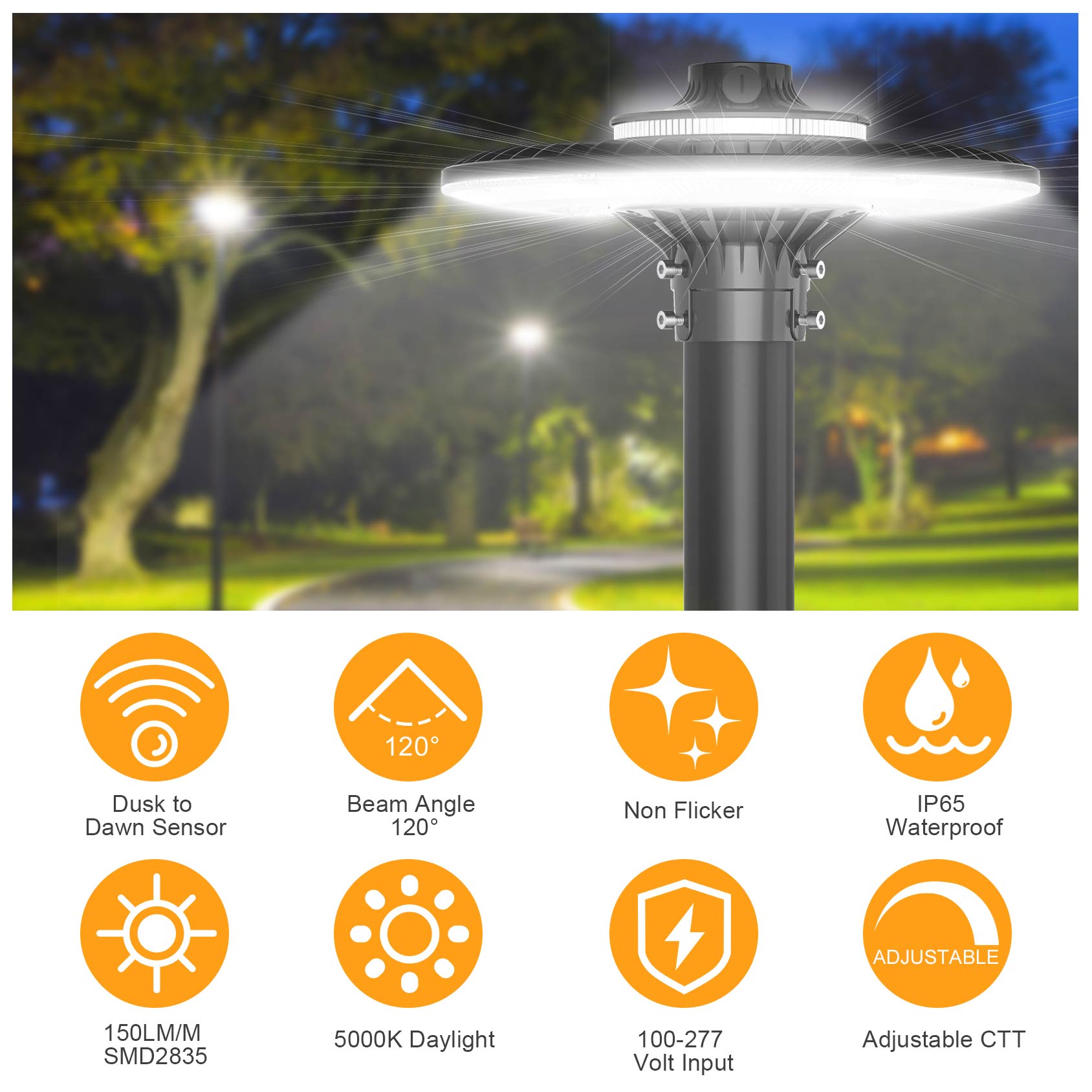 LED POST TOP Fixture ETL CE UL – Gardening Tools List Bewertung und Preis