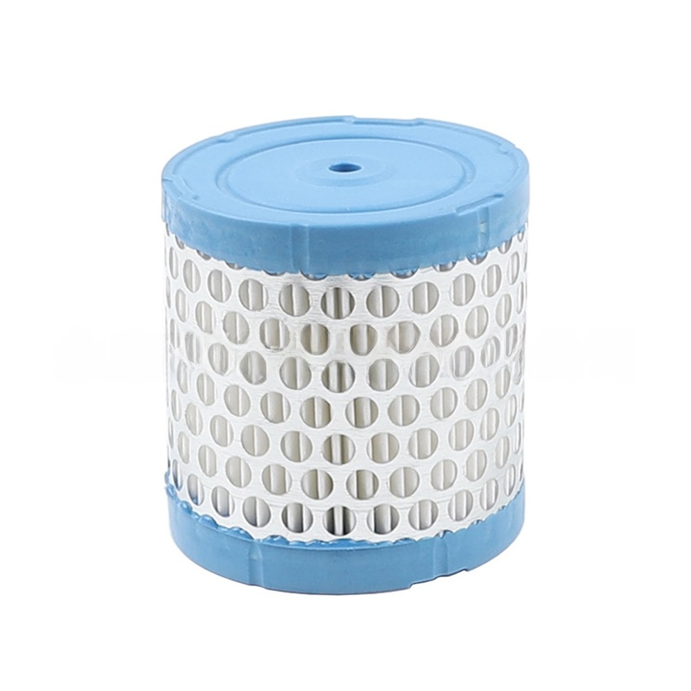 Motorfilter-Ersatz für Rasenmä – Gardening Tools List Bewertung und Preis