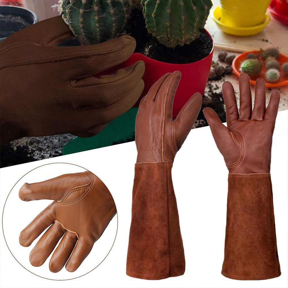 Lange Rohr Garten Sicherheit A – Gardening Tools For Women Bewertung und Preis