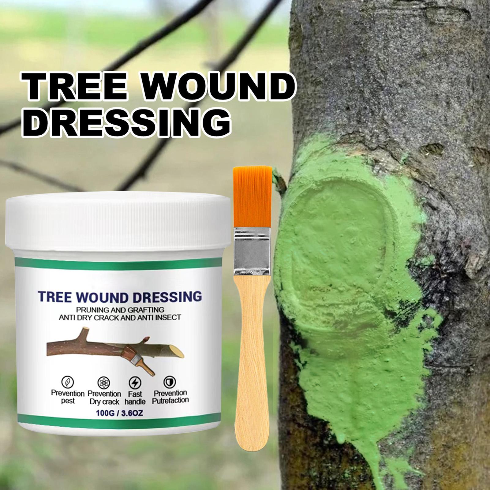 Baumveredelungs-Paste, Wundver – Gardening Tools For Women Bewertung und Preis