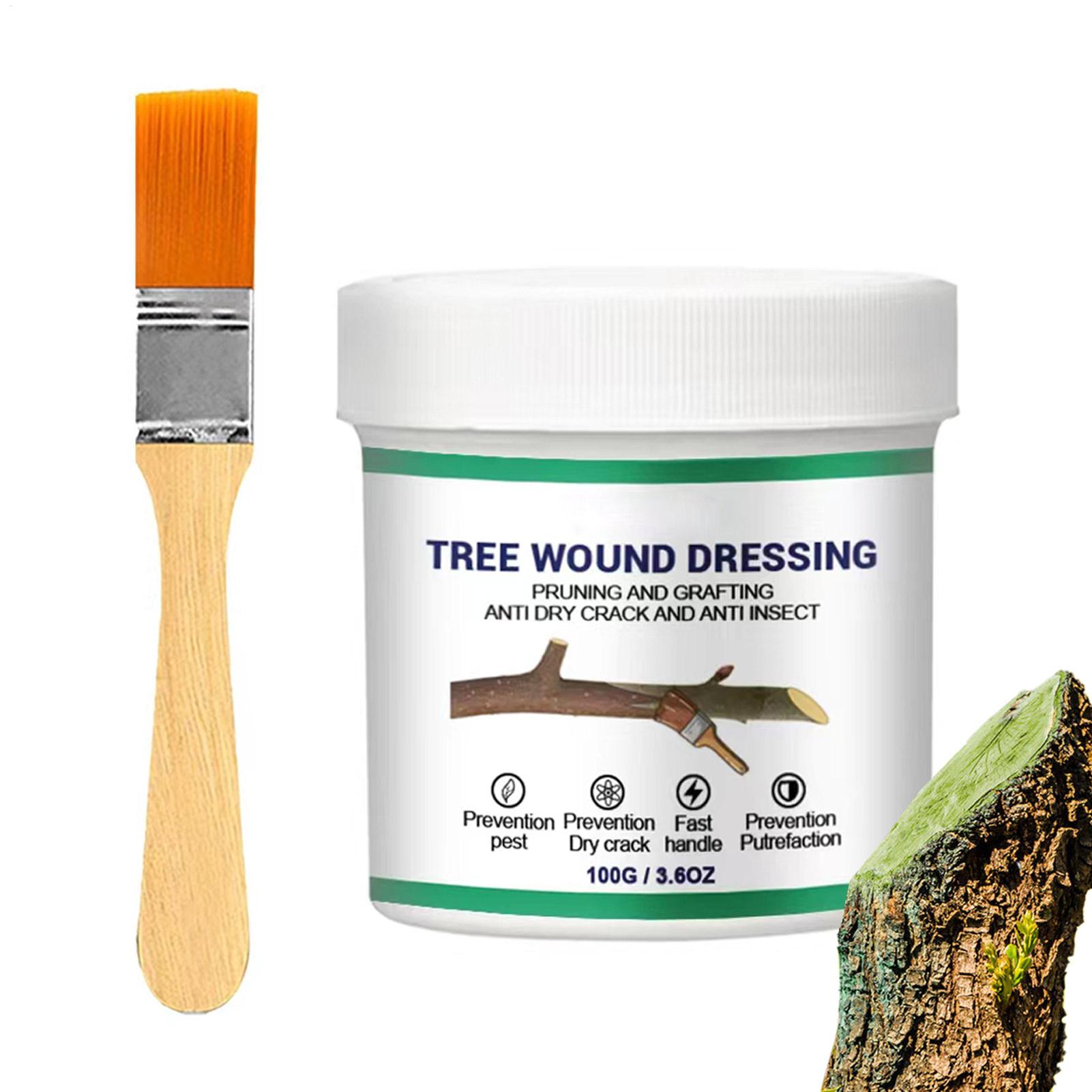 Baumveredelungs-Paste, Wundver – Gardening Tools For Women Bewertung und Preis