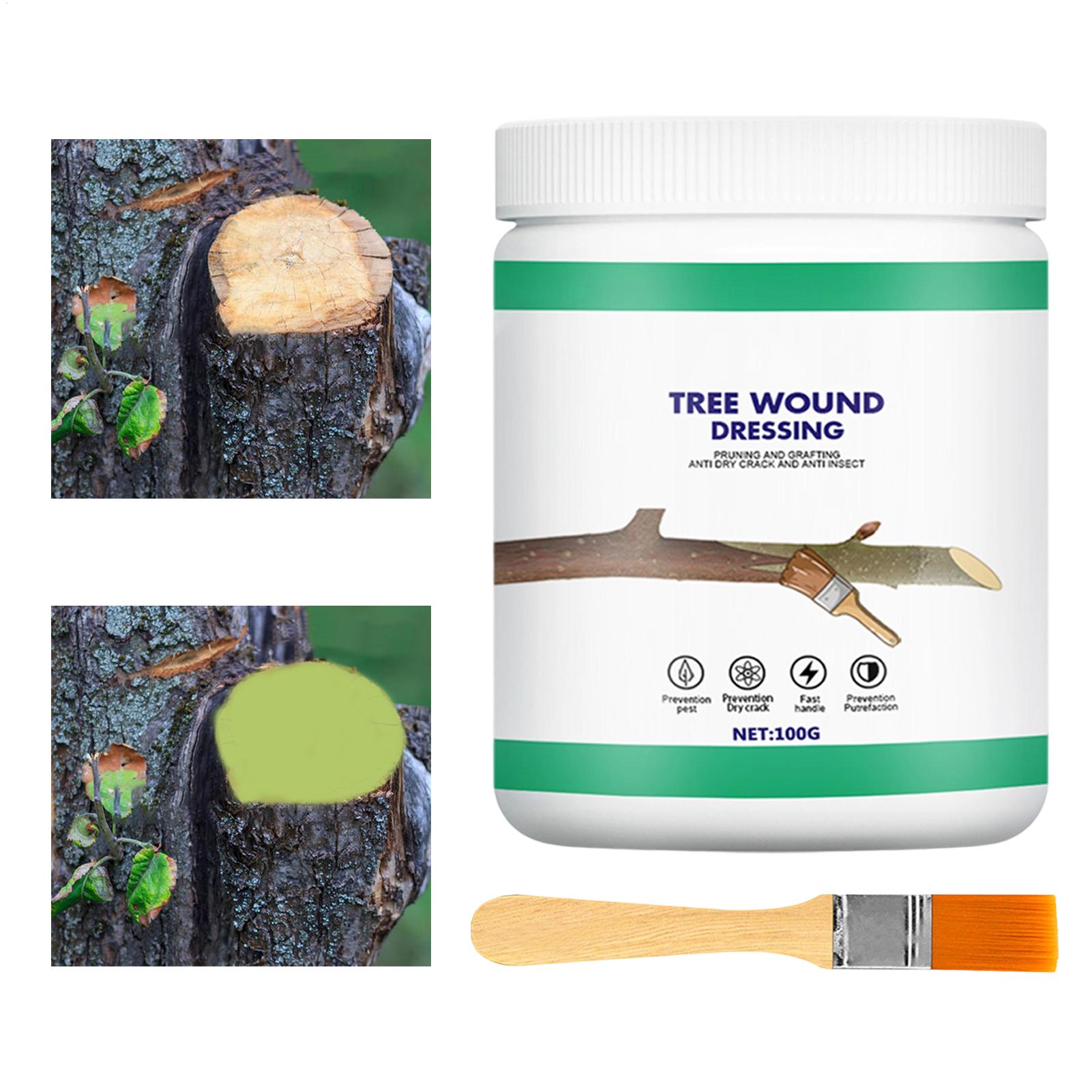 Baumveredelungs-Paste, Wundver – Gardening Tools For Women Bewertung und Preis